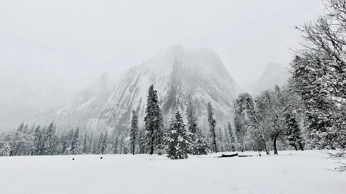 Microplastics found in Sierra Nevada snow at every sampling site