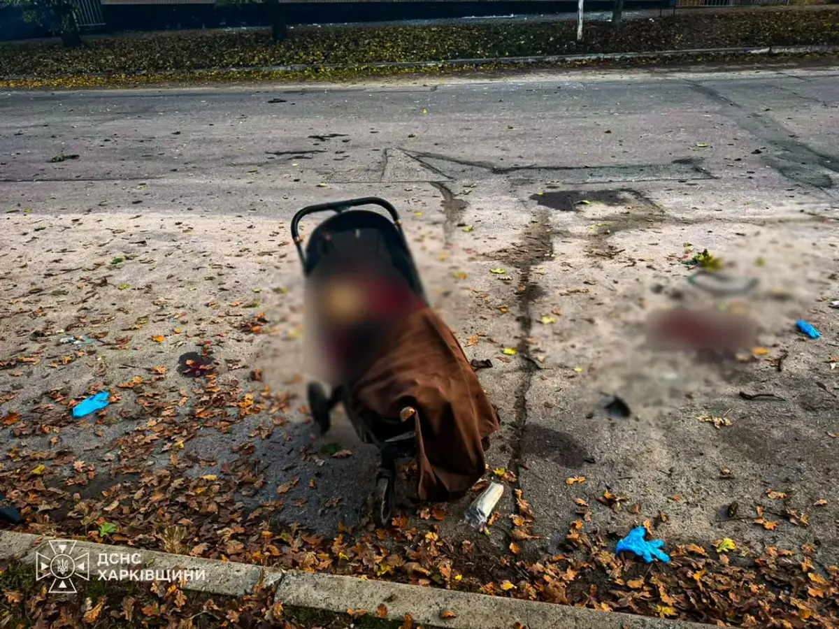 Russian drone strike on Kharkiv park kills children and infant