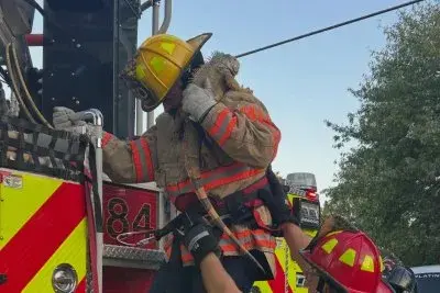 Firefighters rescue escaped pet iguana from Kansas tree after a week on the loose