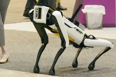 San Francisco startup hiring dog walkers at $20/hour—for robot dogs