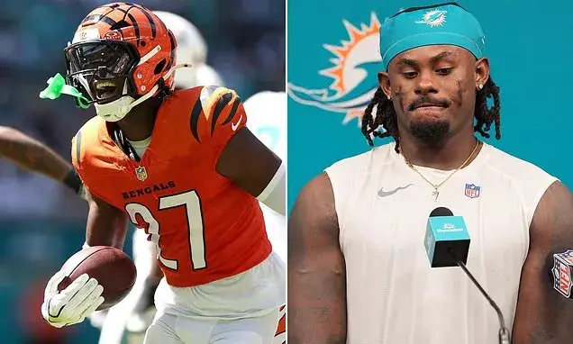 Bengals safety picks off Dolphins QB Malik Willis twice after publicly revealing his tell