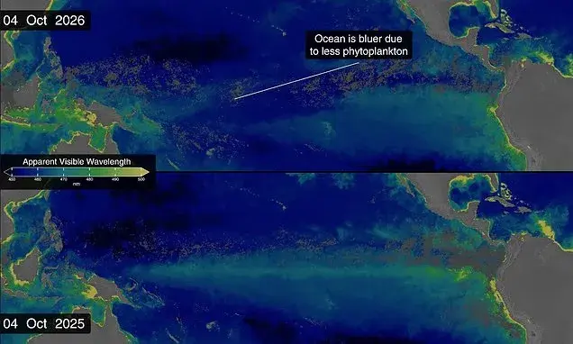 Super El Niño changing ocean color to blue as record temperatures kill marine life, NASA says