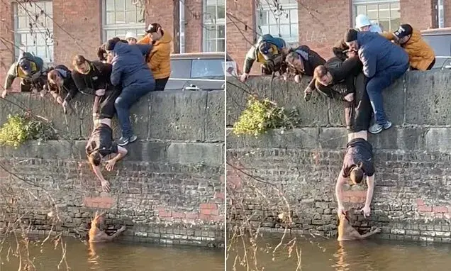 Moment group of strangers come together to rescue dog that fell into Manchester canal