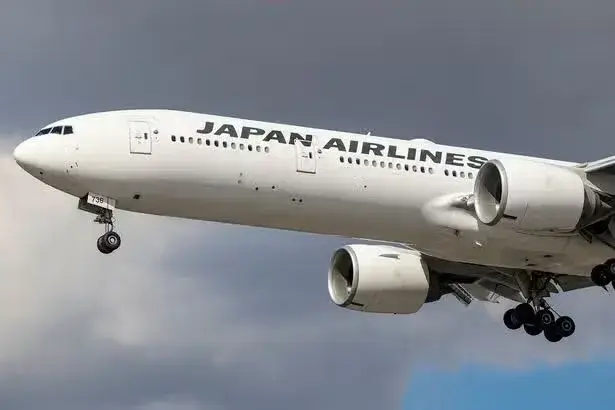 Snake on plane as animal spotted slithering under cabin carpet in chaos before take-off