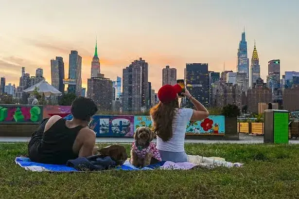 Woman catches sunset at park is surprised when she sees who's right next to her