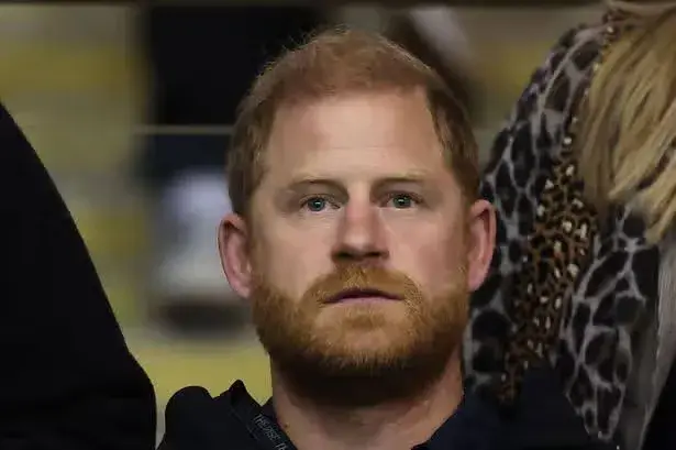 Prince Harry names heartbreaking Diana question he asks himself 'almost every day'