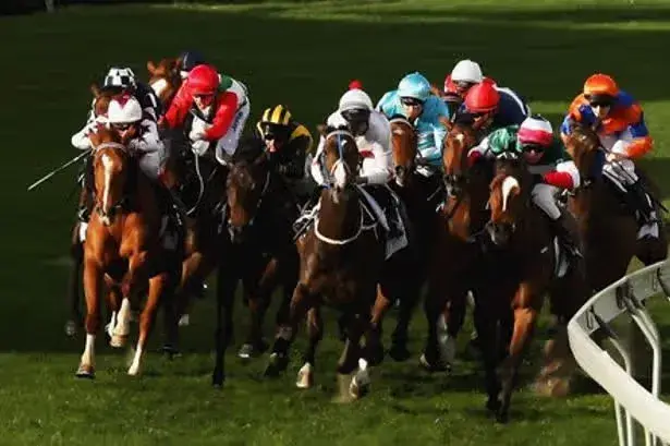 Britain's newest horseracing chief is ex-MP who bet on himself to lose his seat