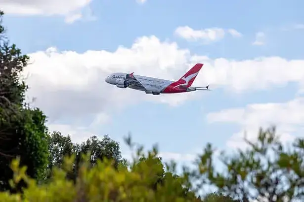 Bed bugs reported on Qantas long-haul flight; aircraft grounded for fumigation, passengers stranded