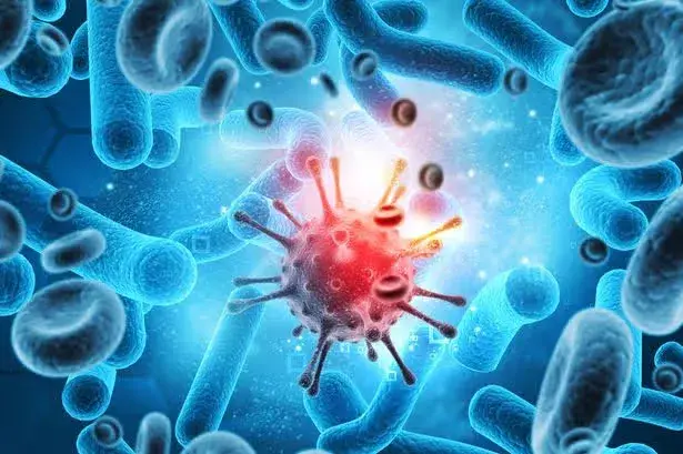 Major pandemic virus which struck 60 million returns with disturbing new strain