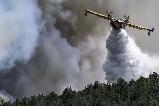 UK 'needs firefighting planes and barbecue bans' as wildfires 'part of our new reality'