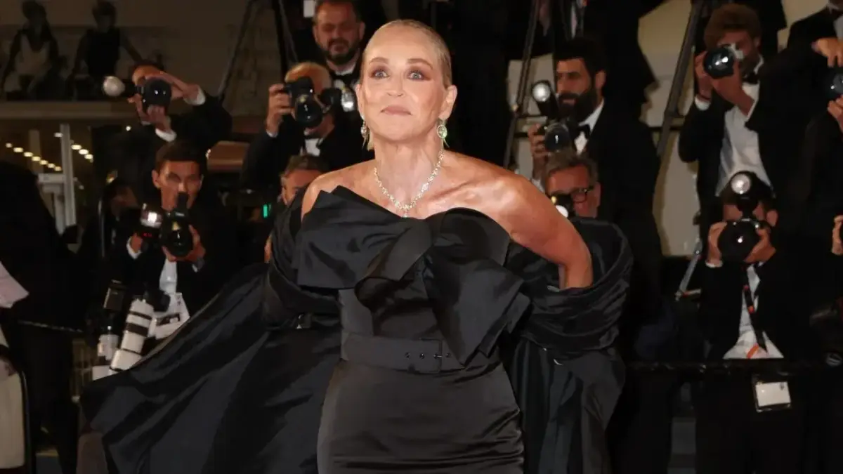 Sharon Stone Thought Her Career Was 'Finished' After Suffering Life-Threatening Brain Hemorrhage and Stroke: 'The Job Offers Disappeared'