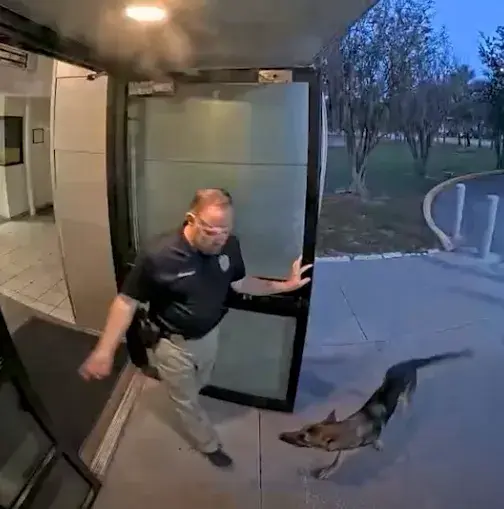 Lost Florida dog shows up at police station, reunited with tearful owner