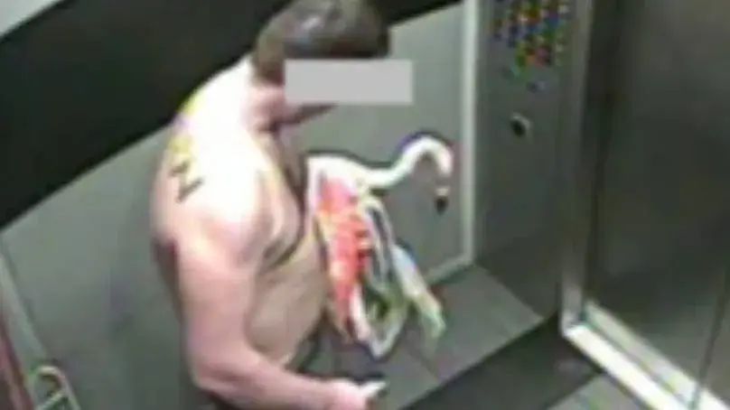 Tourist who stole flamingo in Las Vegas after '30-40 beers' faces four years in jail