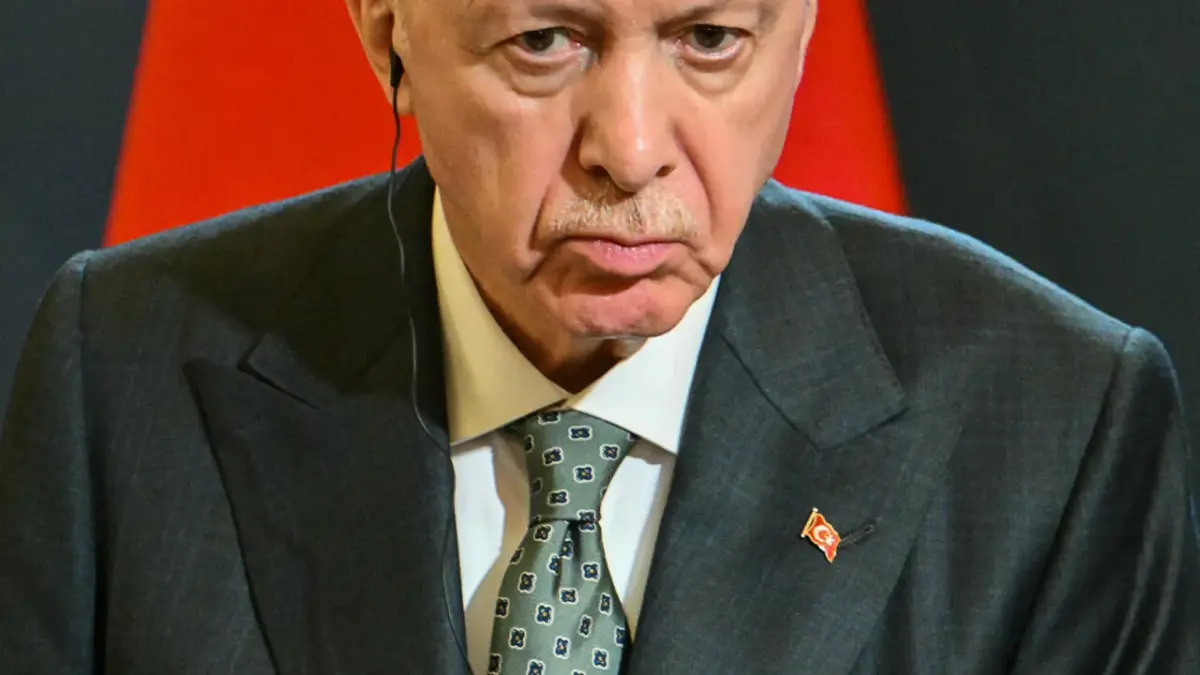 Homeless man insults Erdogan to get arrested, jail bed and food