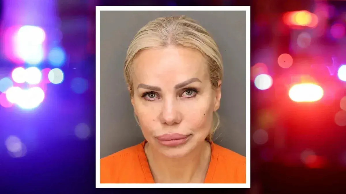 Florida woman accused of hitting boyfriend with laptop, trying to delete video