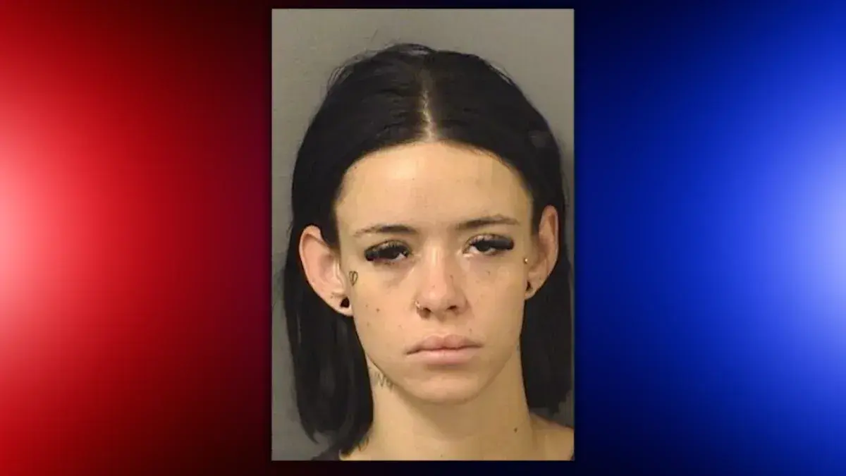 Florida man's affair with exotic dancer ends badly, deputies respond