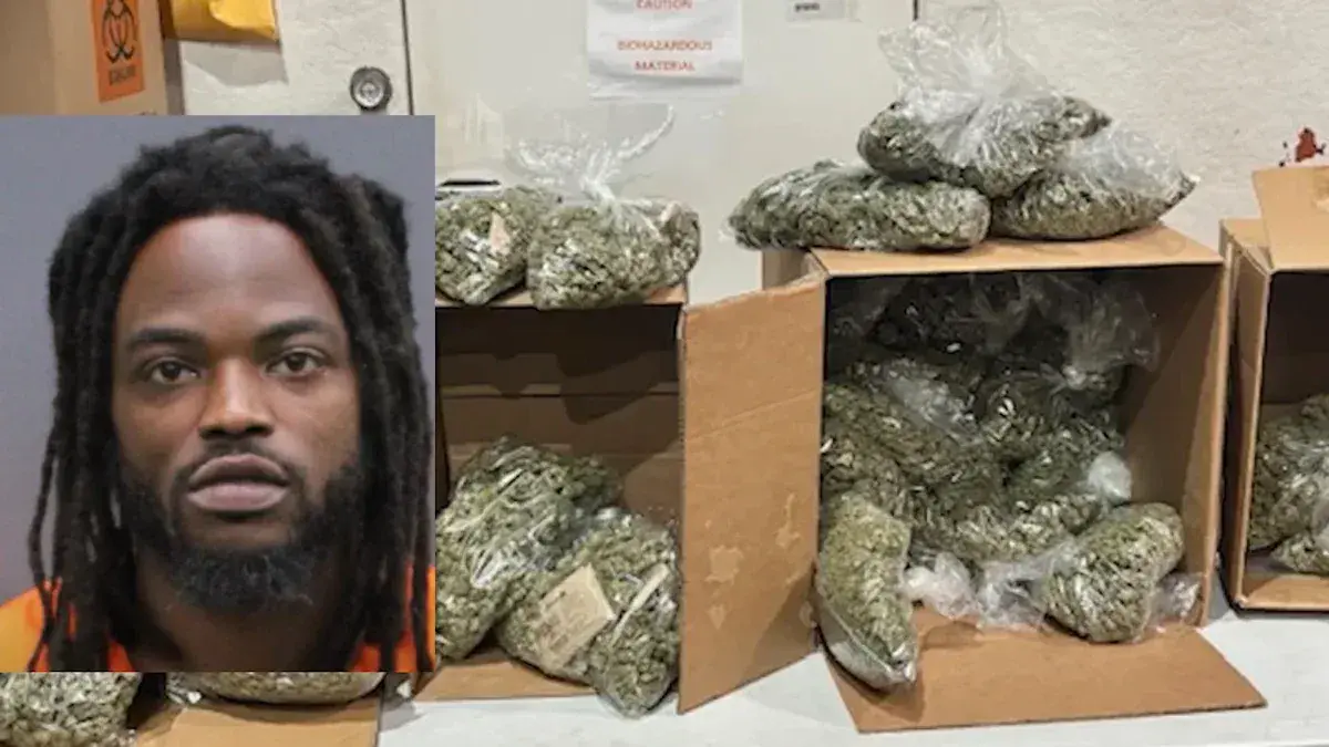 Florida man knocks down deputy while fleeing after 57 pounds of marijuana found in home