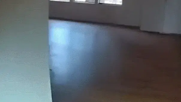 Copper theft suspect dives through closed window to escape deputy, leaves backpack behind